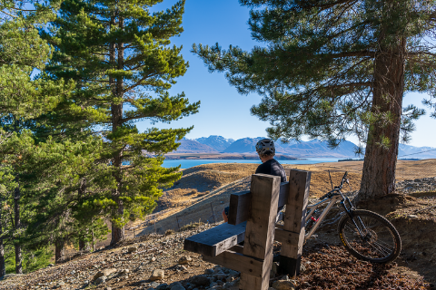 Lake Tekapo Regional Park 