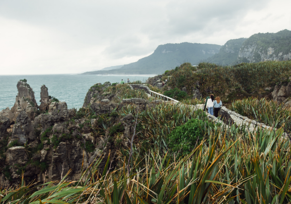 tiki tour auckland