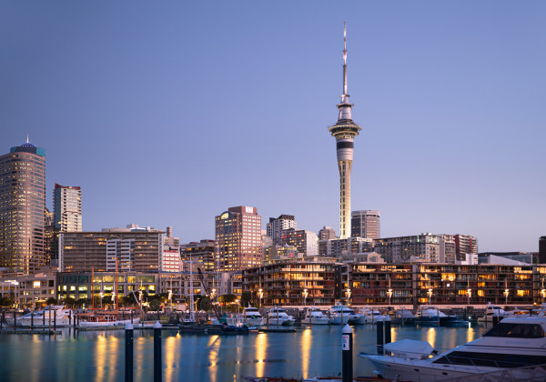 auckland kiwi tour