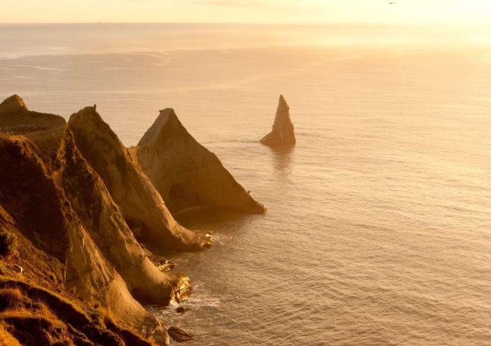 best-things-to-do-in-napier-and-hawkes-bay