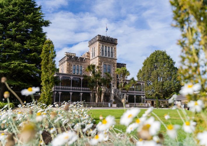 best-things-to-do-in-dunedin-with-kids