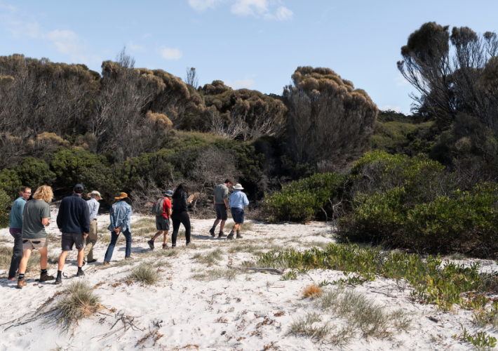 ultimate-guide-to-walks-and-hikes-in-tasmania