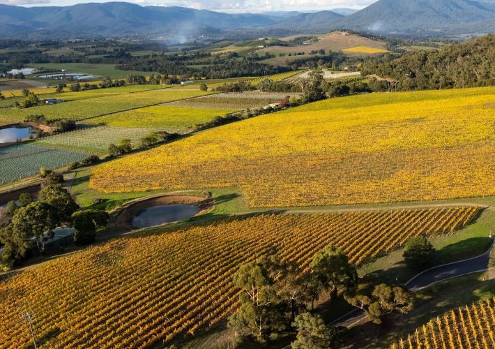 your-guide-to-the-yarra-valley-and-dandenong-ranges