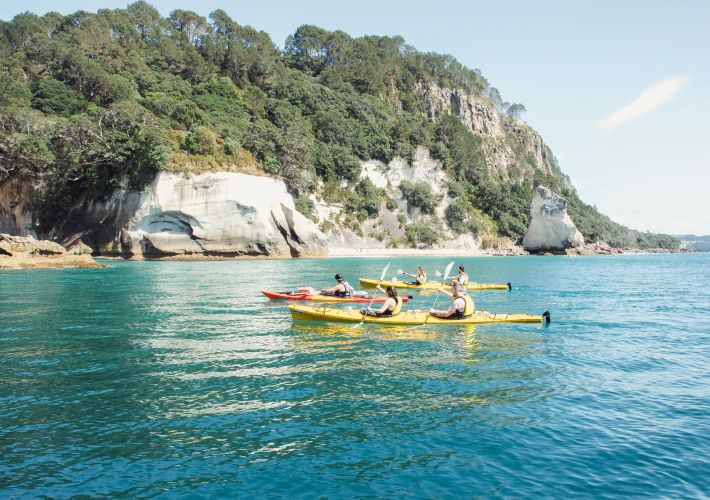 10-things-to-do-in-the-bay-of-islands