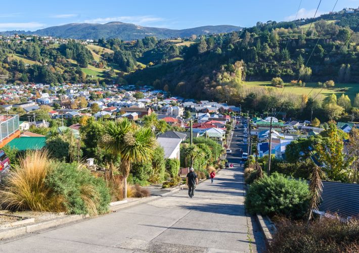 guide-to-baldwin-street-in-dunedin