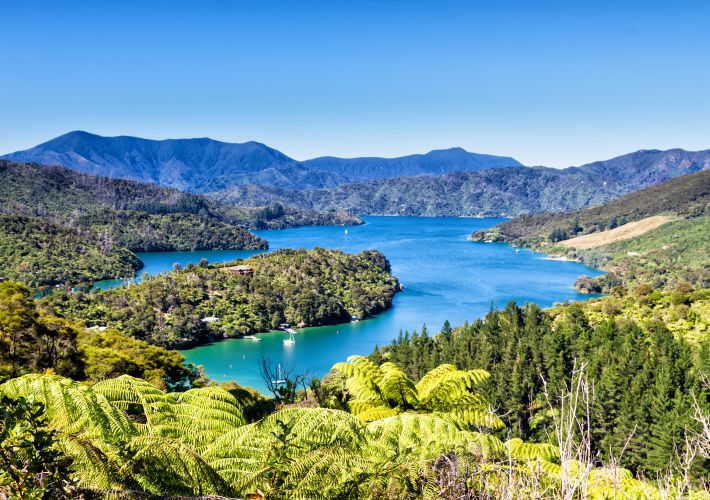 guide-to-queen-charlotte-sound