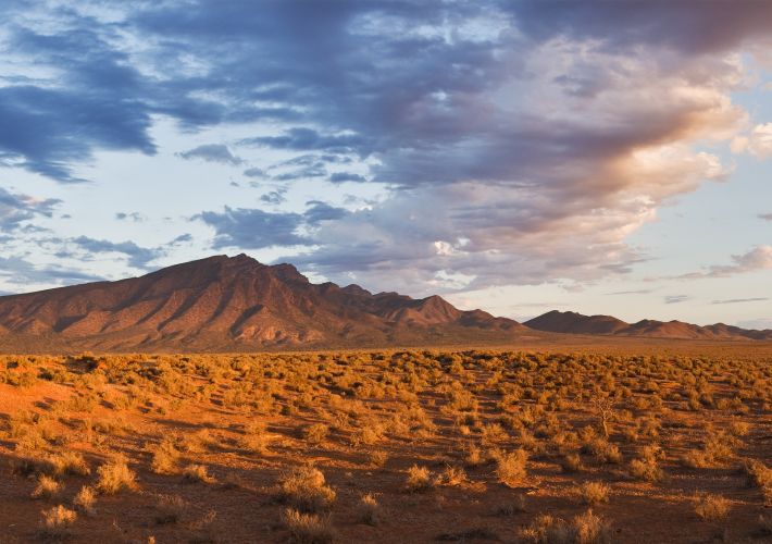 ultimate-guide-to-exploring-the-flinders-ranges