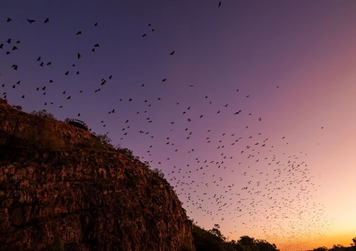 guide-to-uluru