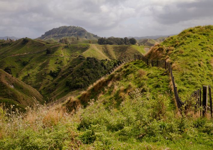 guide-to-forgotten-world-adventures-rail-carts