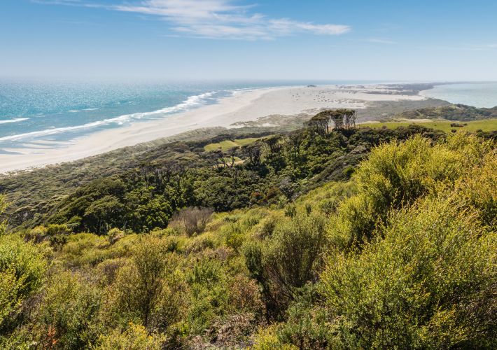 guide-to-farewell-spit