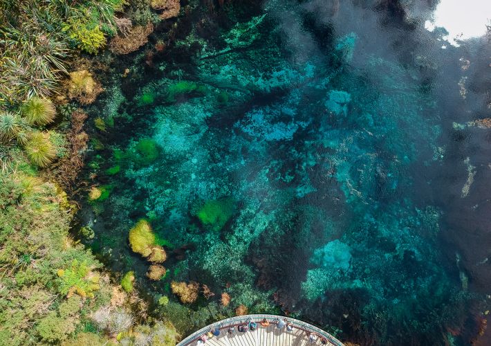 guide-to-the-te-waikoropupu-springs