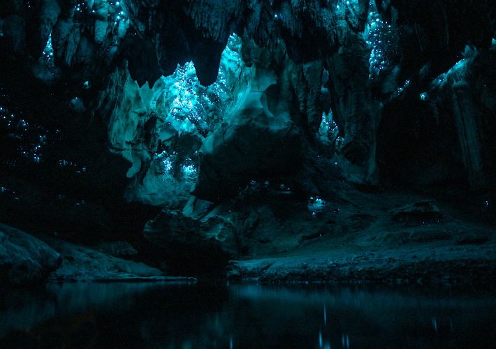 guide-to-the-waipu-caves-and-waipu-caves-track