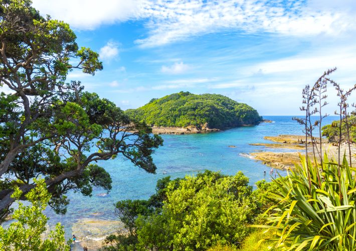 guide-to-cape-rodney-okakari-point-goat-island-marine-reserve
