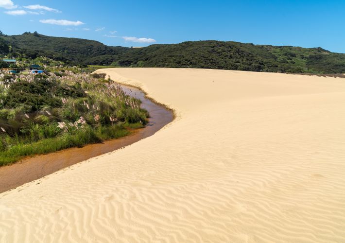 guide-to-te-paki-giant-sand-dunes-and-ninety-mile-beach