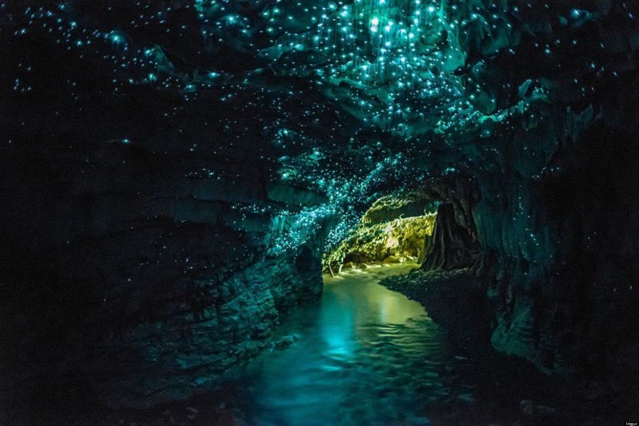 Waitomo Glow Worm Caves