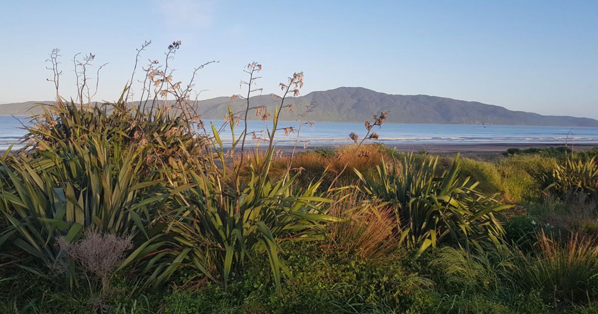 Kapiti island Co Book Now Britz Campervans NZ
