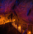 hobbiton and waitomo caves tour