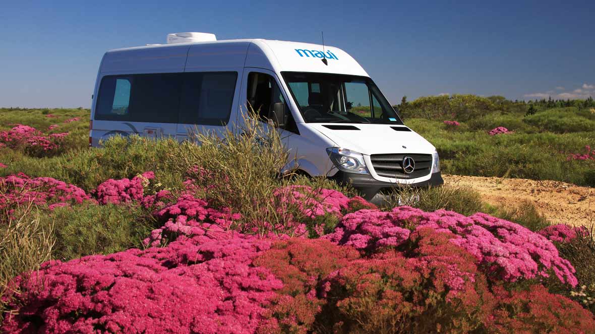 au-maui-ultima-plus-exterior-flowers-ND