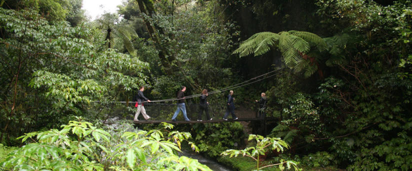 NEW ZEALAND'S BEST SCENIC WALKS