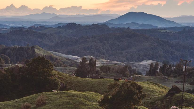 Waitomo countryside