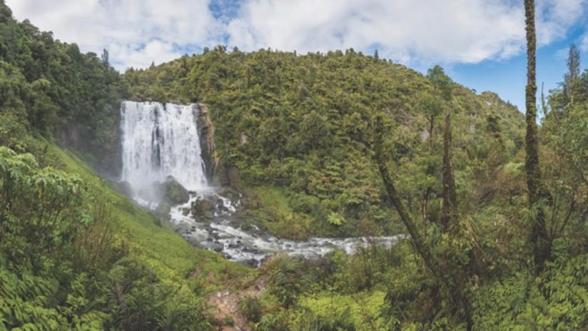 Marokopa Falls Walk