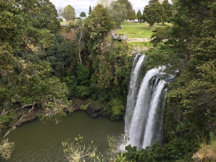 Whangarei Falls