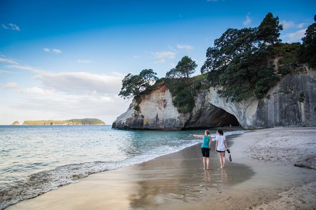 cathedral cove new zealand