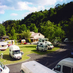 dunedin-holiday-park