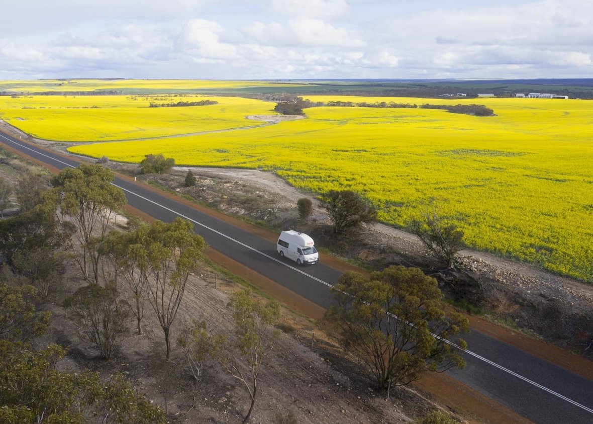 Britz Campervans Caola fields Corrigin