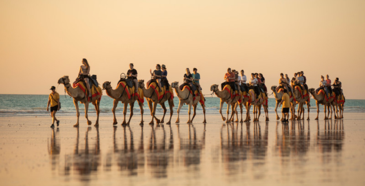 Cable Beach Camel Ride