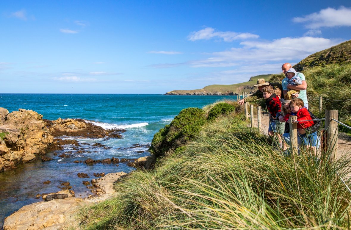 Dunedin sea cliffs