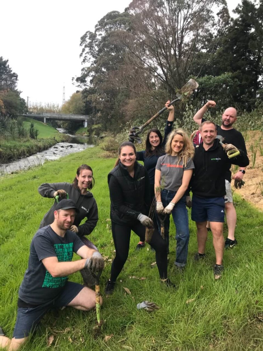 Kiwi Experience Tree Planting