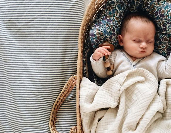 moses basket co sleeper