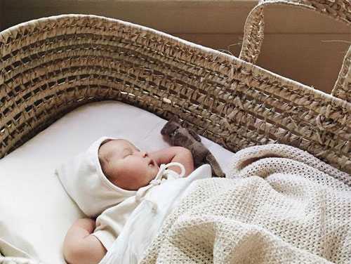 moses basket co sleeper