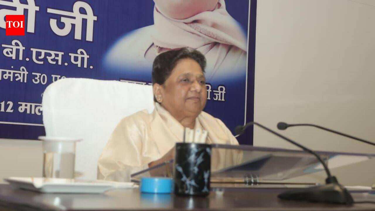 Mayawati refutes illness claims, appears before media to dispel doubts