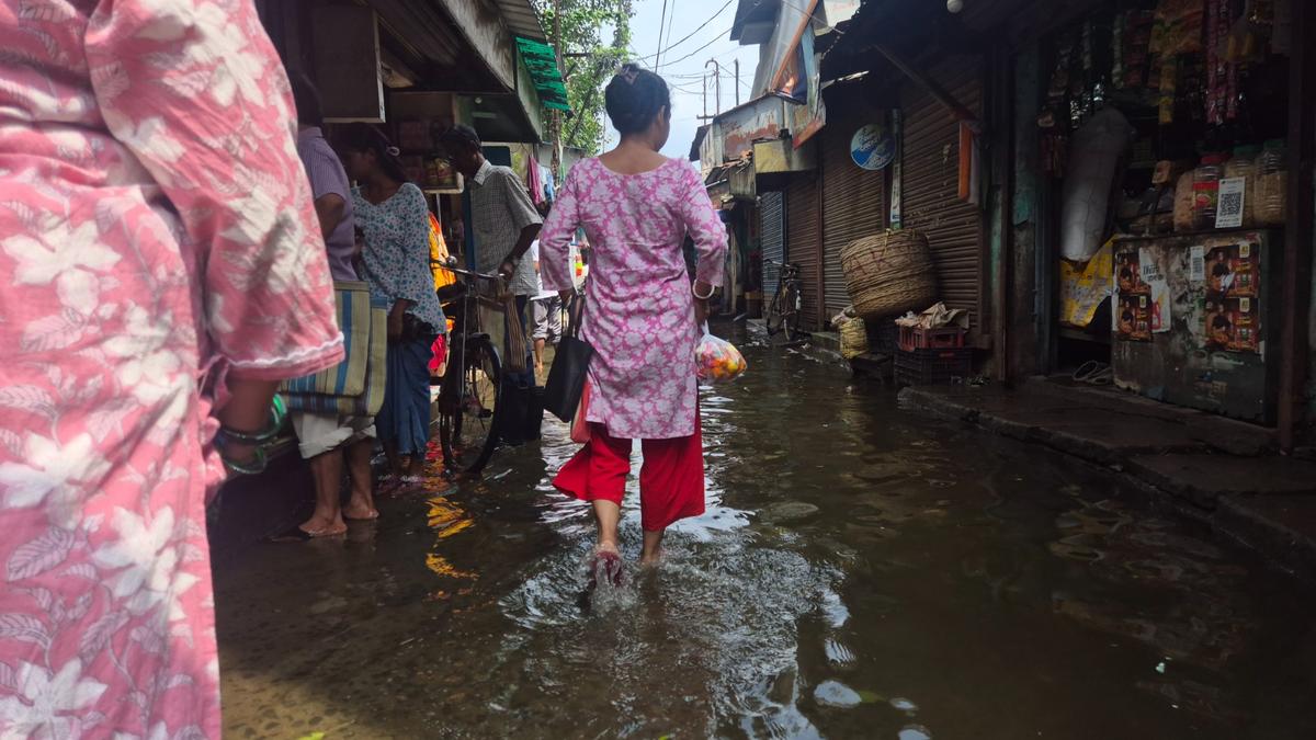 Waterlogging, poor drainage have halted industrial activity in West Bengal Panihati municipality for months
