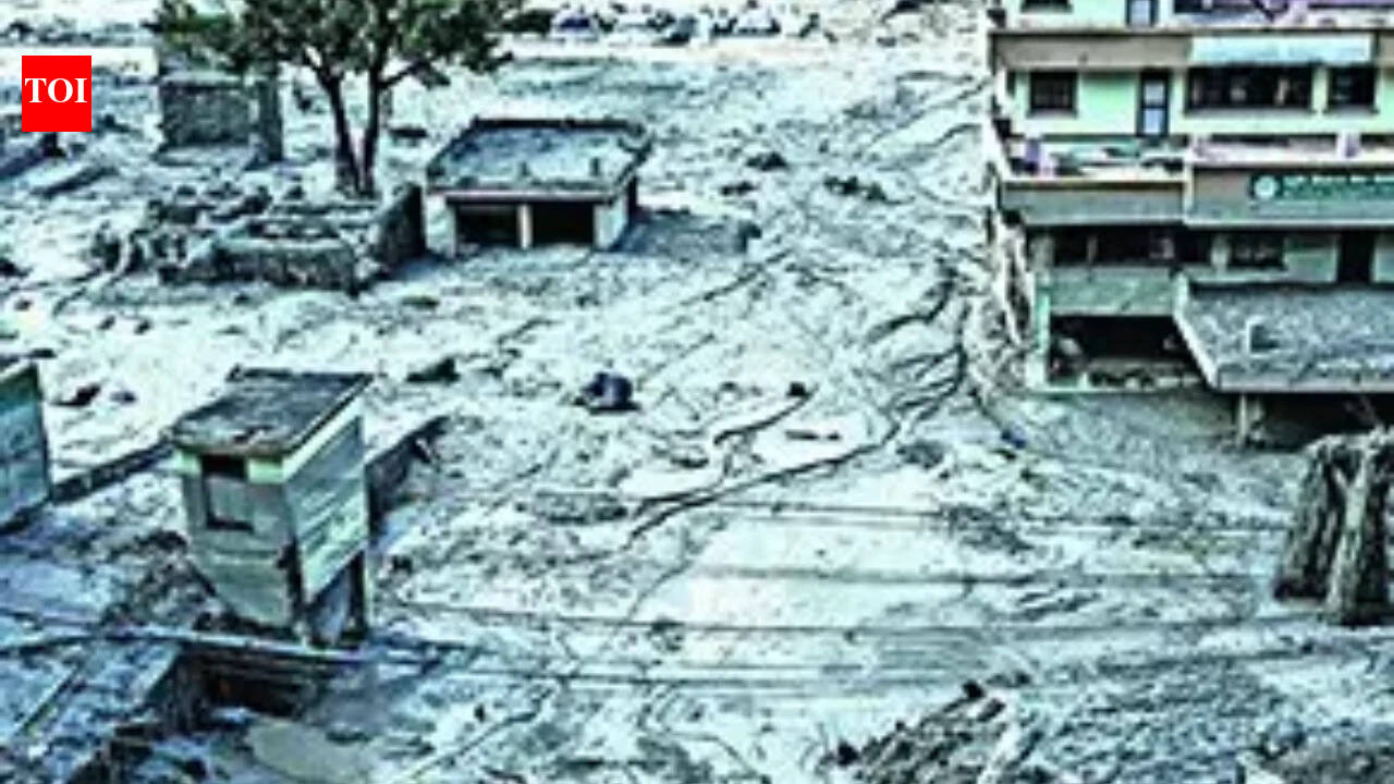 India to export 654MW of power to flood-hit Nepal daily till Dec 31