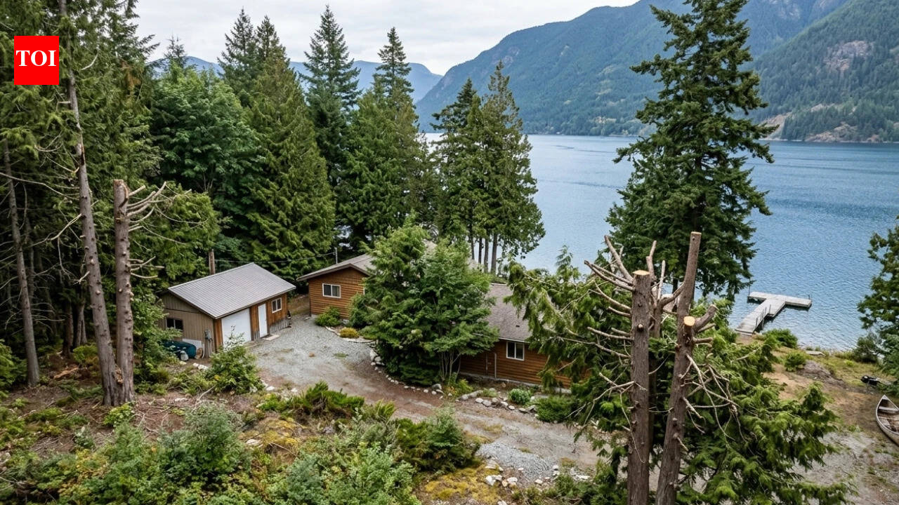 Neighbours over-trimmed trees for lake view; judge orders $34,064 damages