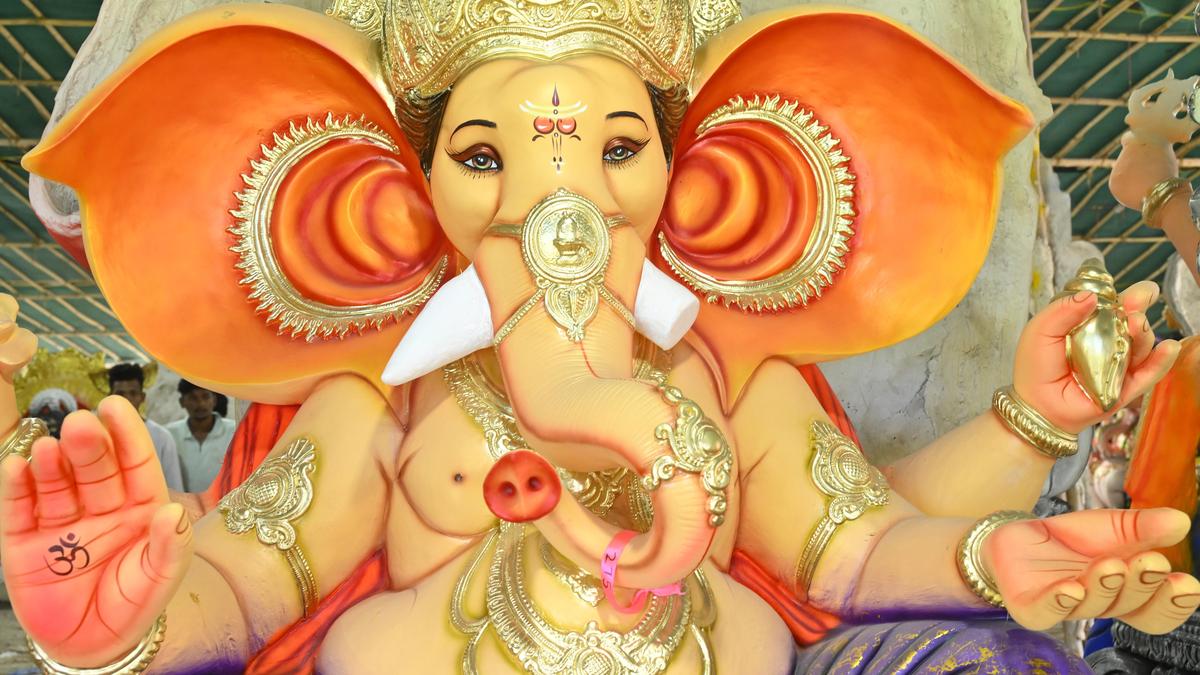 Despite curbs, over 4,000 PoP Ganesha idols immersed in Bengaluru