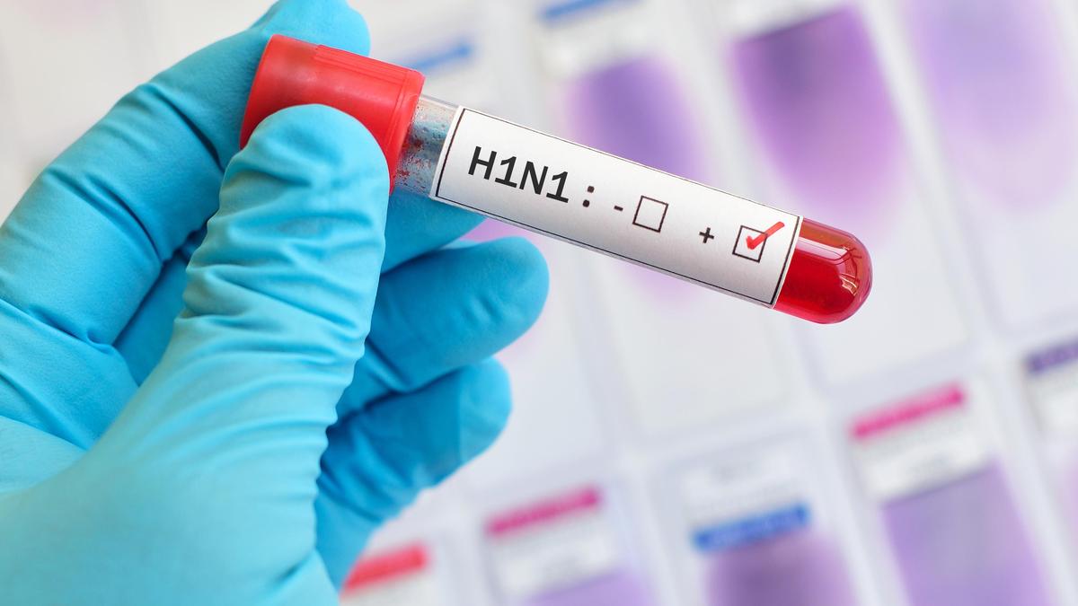 Palakkad DMO warns against H1N1 spread