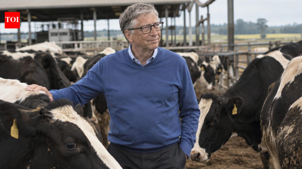 Bill Gates backs cattle methane-cutting tech: Could it help fight climate change