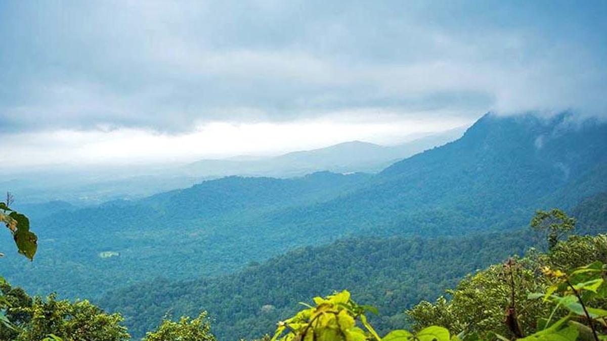 Holiday for three education institutes in Tirthahalli on account of CM’s visit to discuss K. Kasturirangan report on Western Ghats