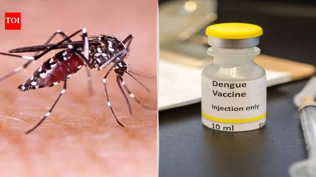 Dengue vaccine to hit market by first half of 2027