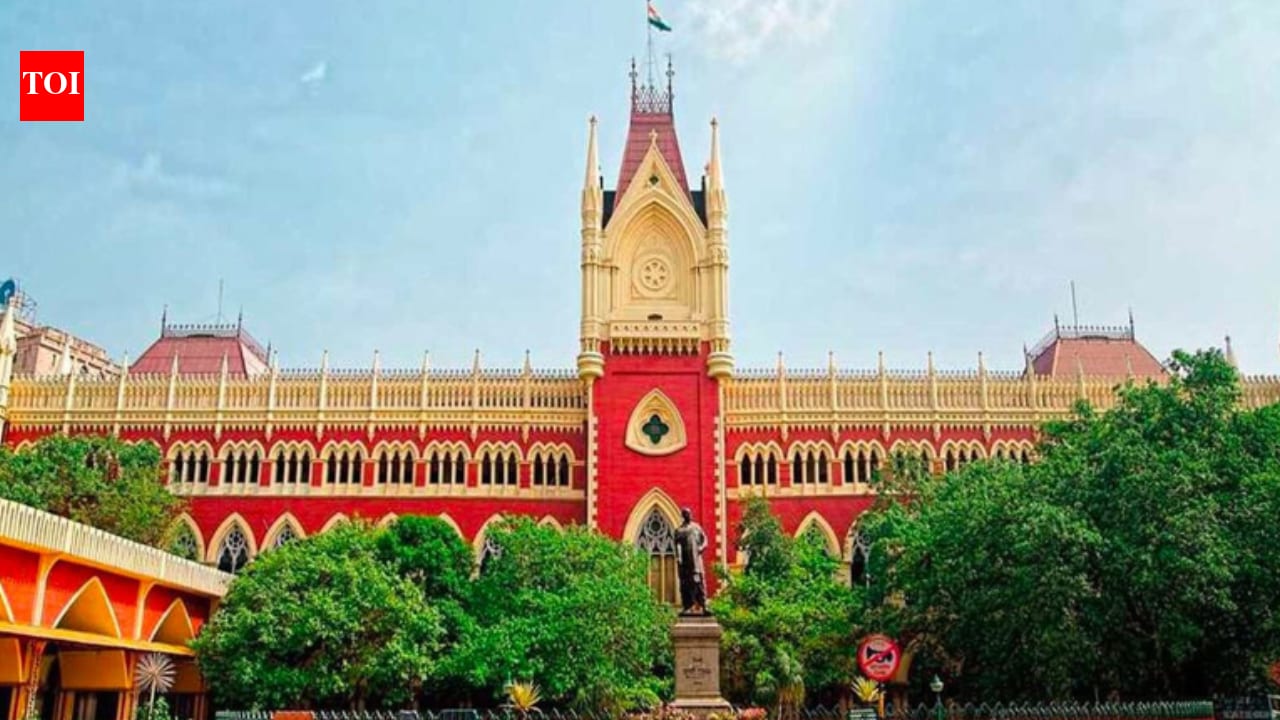 HC raps Bengal govt for detaining Murshidabad man on mere suspicion he was Bangladeshi