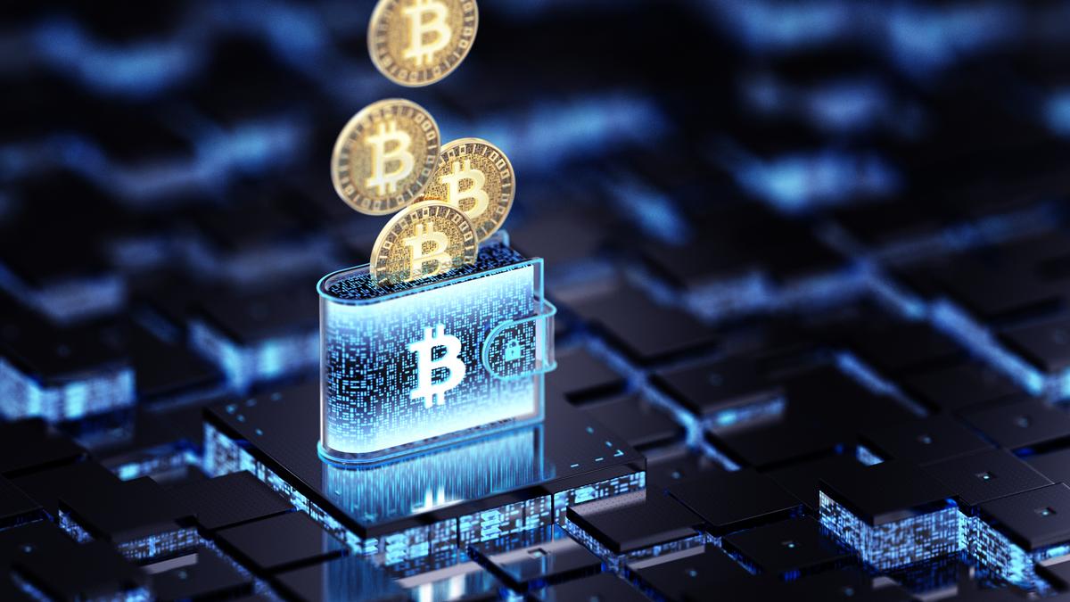 Operation Toofan to trace drug money through UPI, crypto wallets