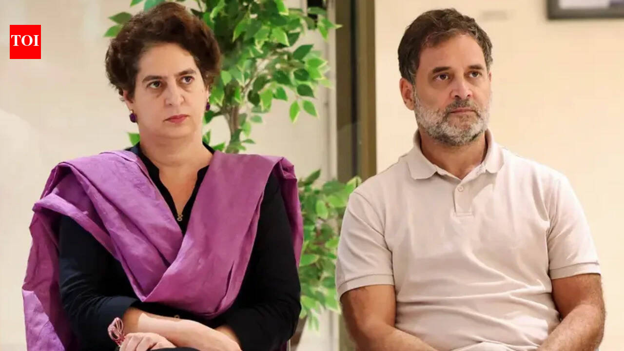 'Delhi a terrifying daily story for women': Rahul, Priyanka on teen's gangrape-murder