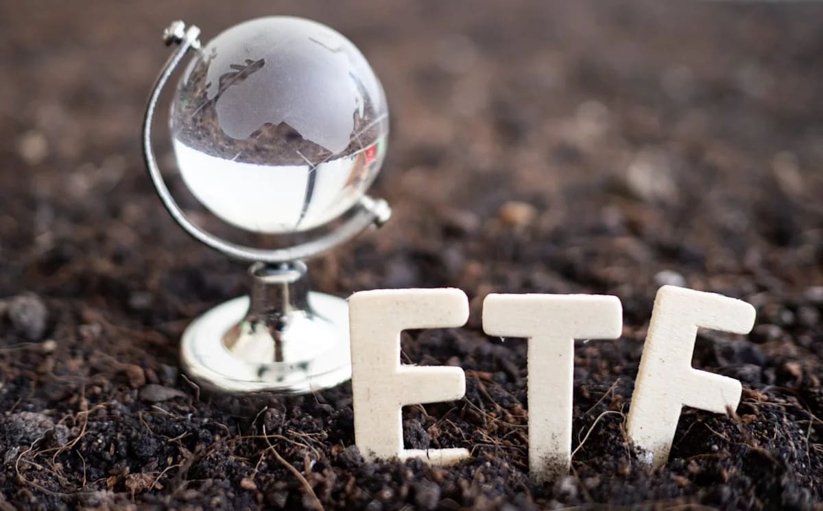 SCHD’s International Twin Has Rivals From Vanguard, Fidelity, and BlackRock. We Ranked All Four