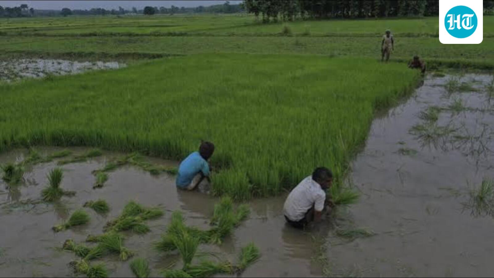 Charuni seeks hike in financial aid for farmers under govt scheme