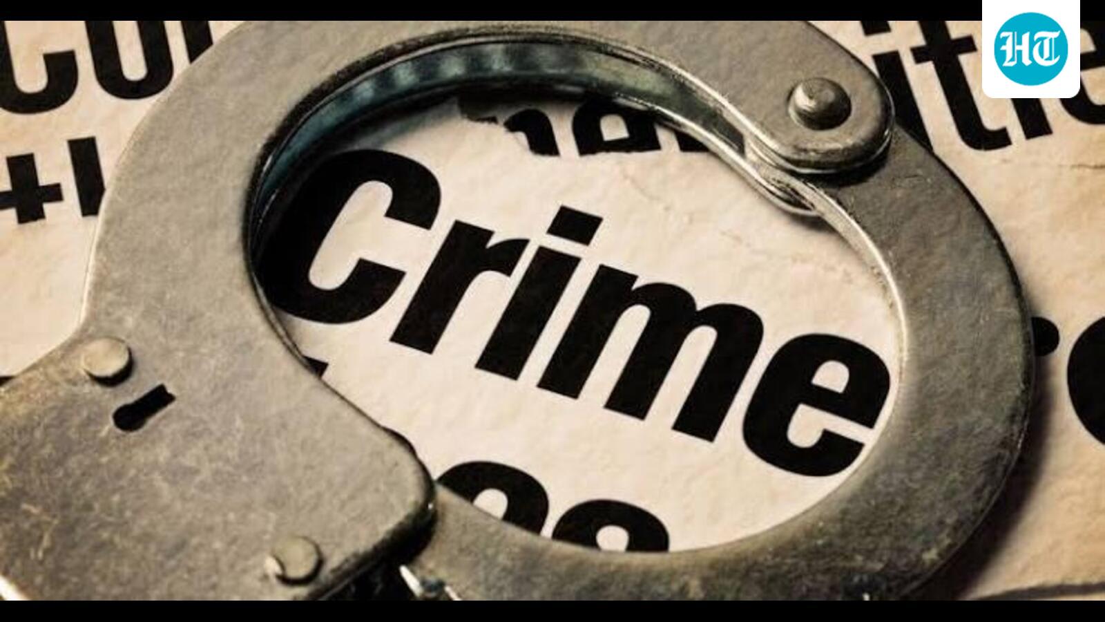 Shimla: 11 held after 2 student bodies clash at HPU