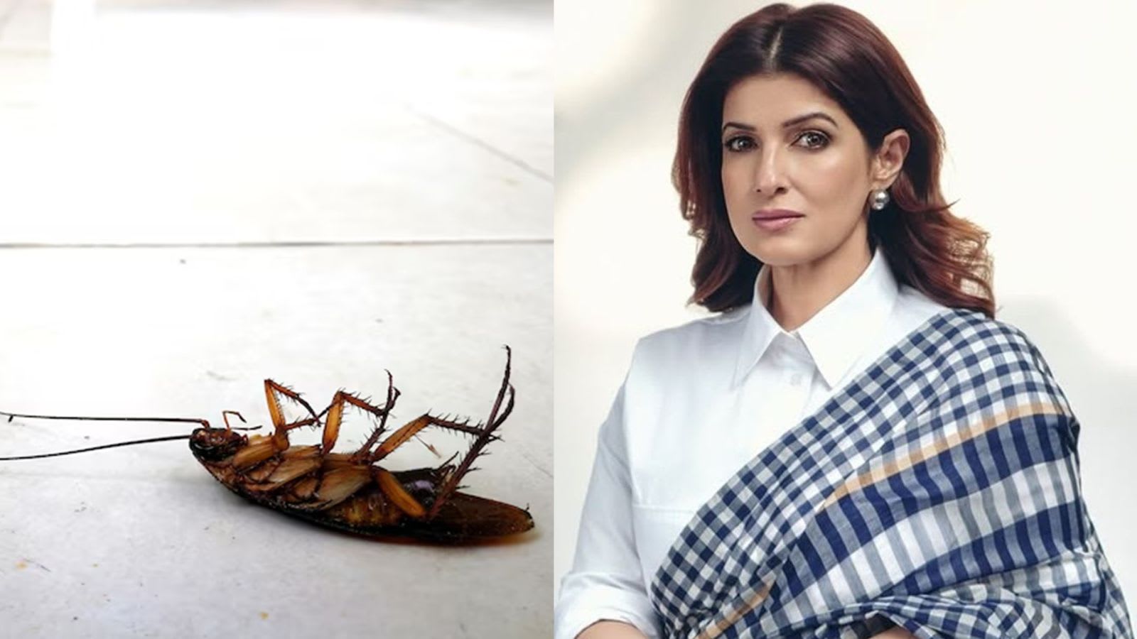 Twinkle Khanna’s ‘desi jugaad’ to keep cockroaches and ants out of your kitchen